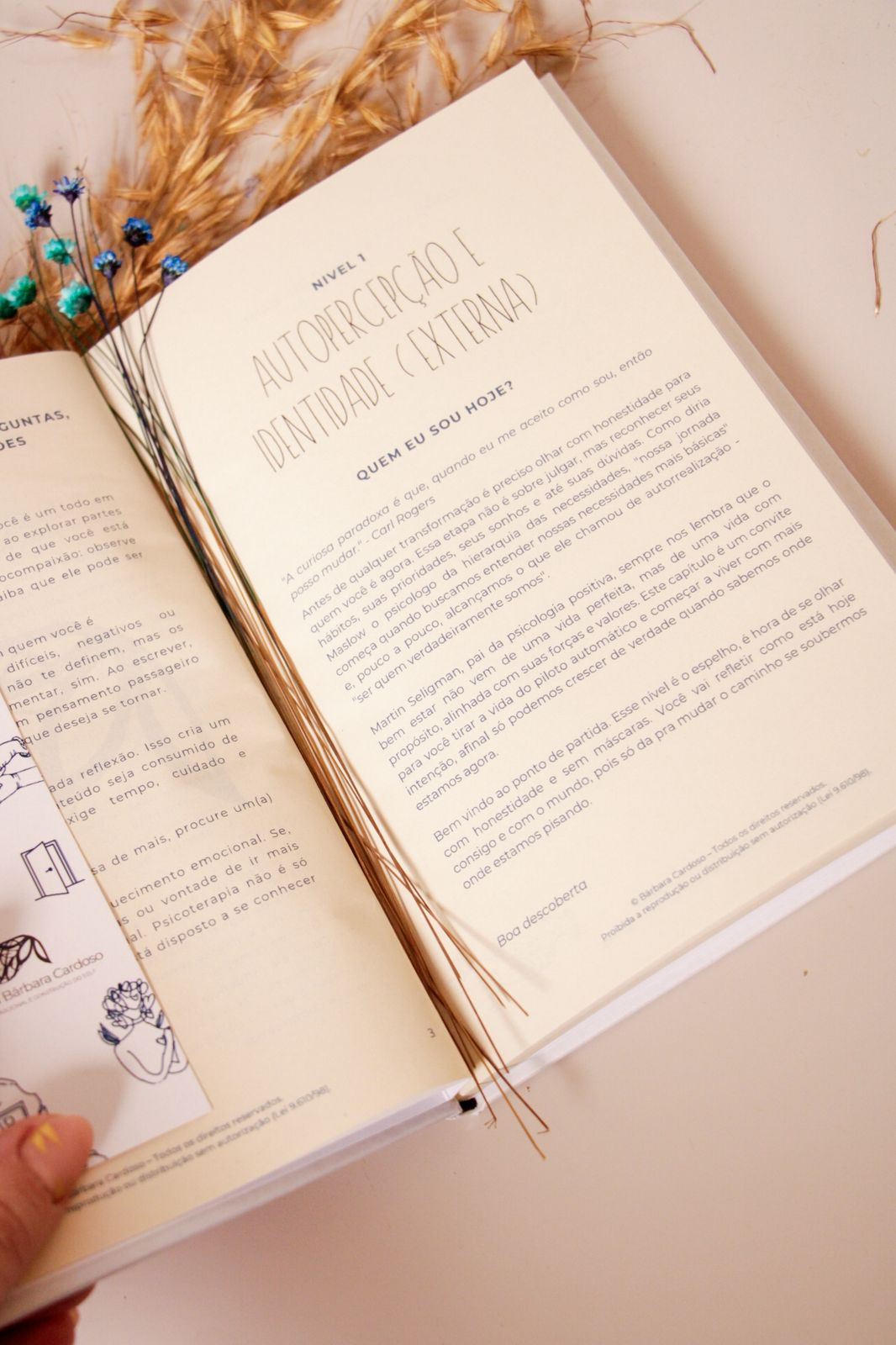 Capa do Livro
